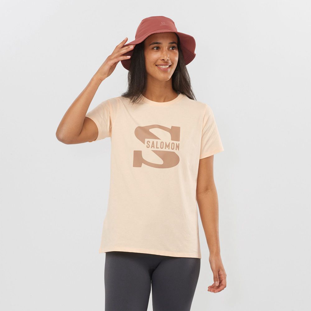 Salomon OUTLIFE BIG LOGO Camisetas Mujer - Beige - Colombia (81903-YARP)